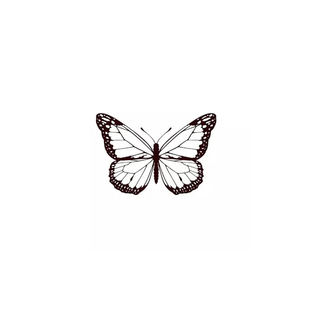 Tattoo temporaneo - Butterfly x5 - Image 2