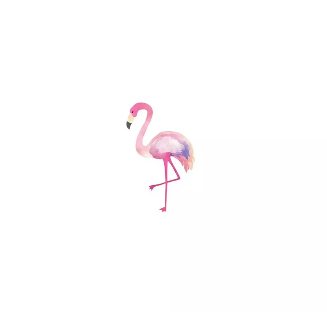 Tattoo temporaneo - Flamingo x5